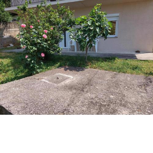 Apartman DANA