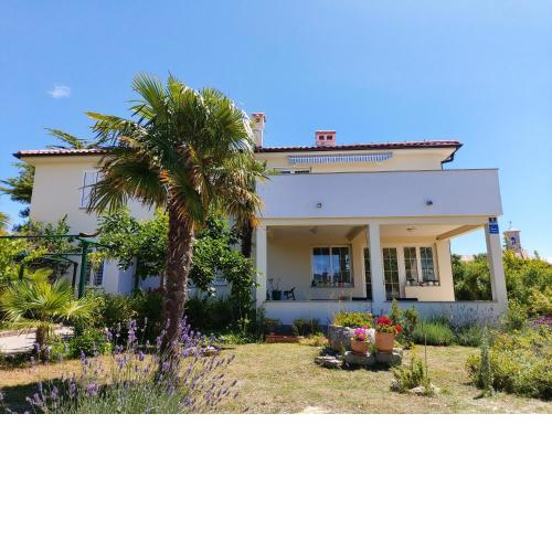 Apartman Danijel