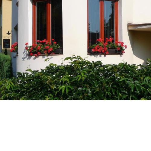 Apartmán Dobrá Naděje