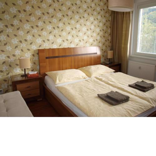Apartmán Drahovice