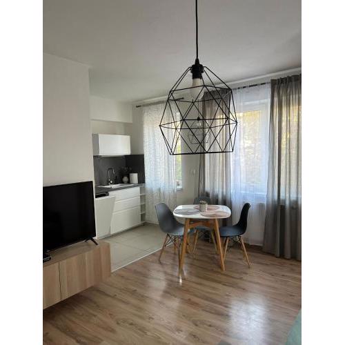 Apartmán "DUNAJ"