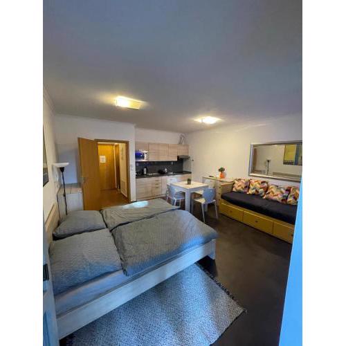 Apartman Harrachov - Resident