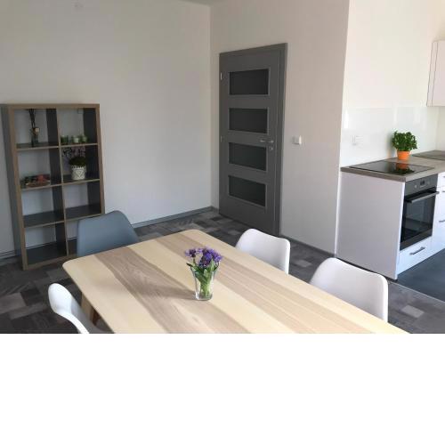 Apartmán Havlíčkova