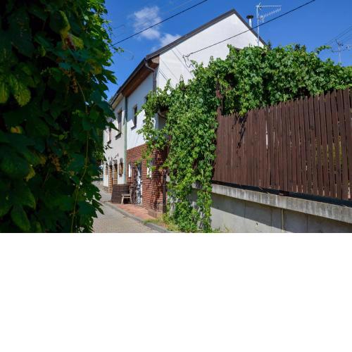 Apartmán Hejč