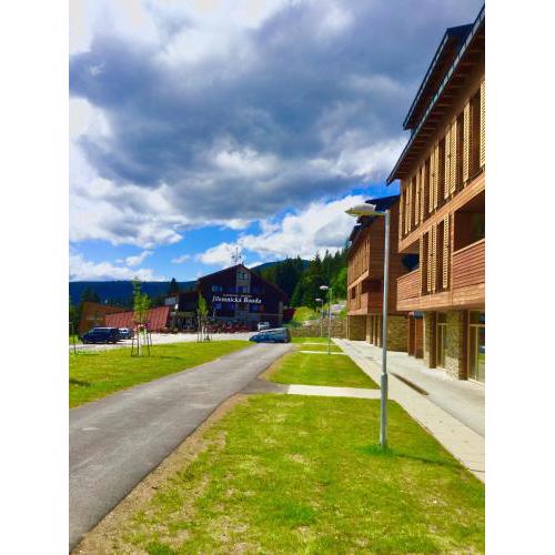 Apartmán Horní Mísečky 437