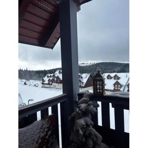 Apartmán Horní Mísečky F11 - Horský svět