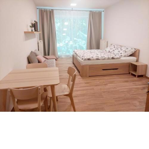 Apartmán IRIS Poděbrady