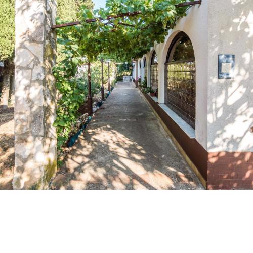 Apartman Jasmina