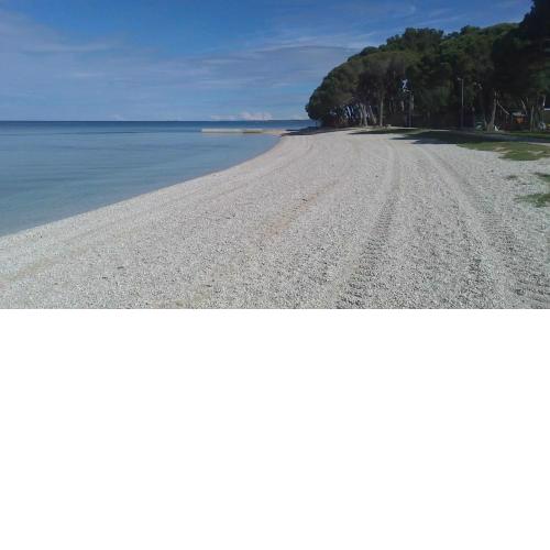 Apartman Karlo