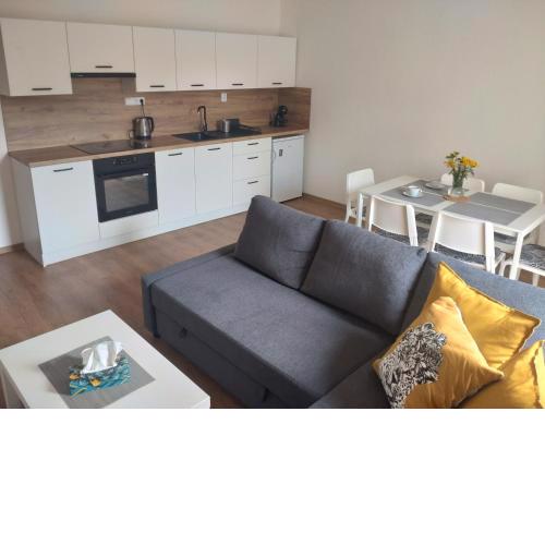 Apartmán Karlovice - Jeseníky