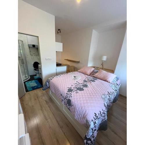 Apartmán Kostomlaty pod Milešovkou