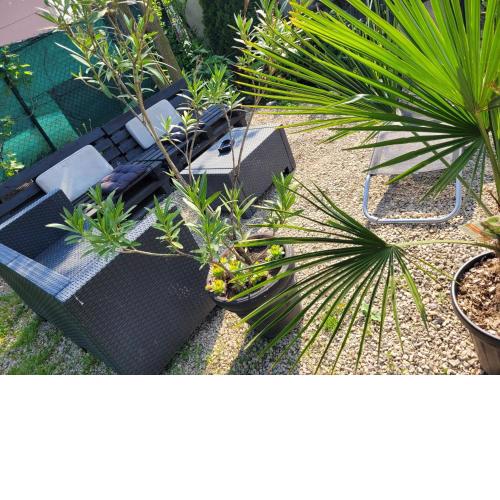 Apartman La Martina