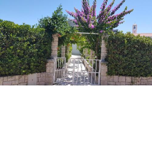 Apartman LUCIJA