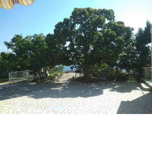 Apartman Martin