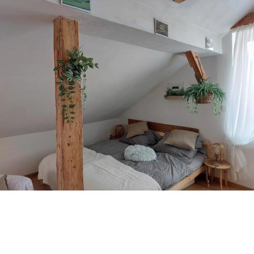 Apartmán Mourek