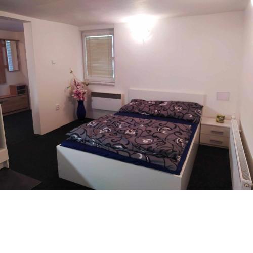 Apartmán na Rybářské