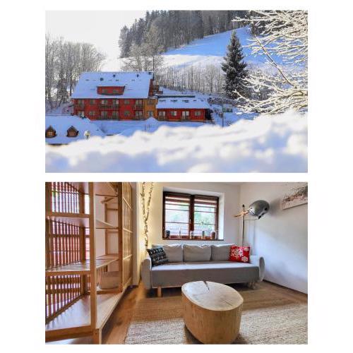 Apartmán Na Svahu, Krkonoše