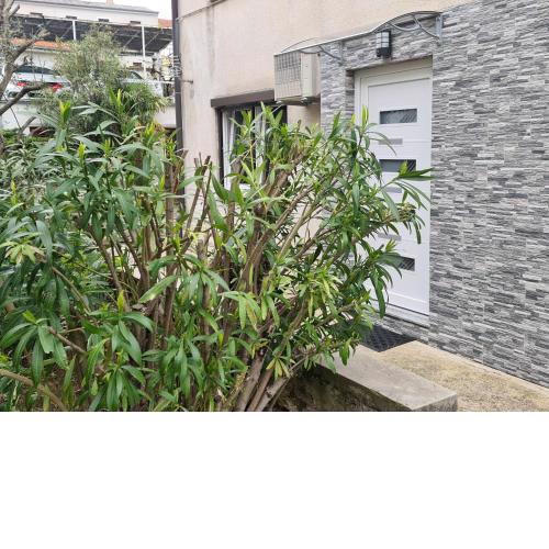 Apartman Nika