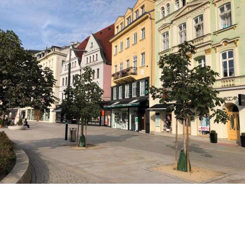 Apartmán Orchidej u Vřídla