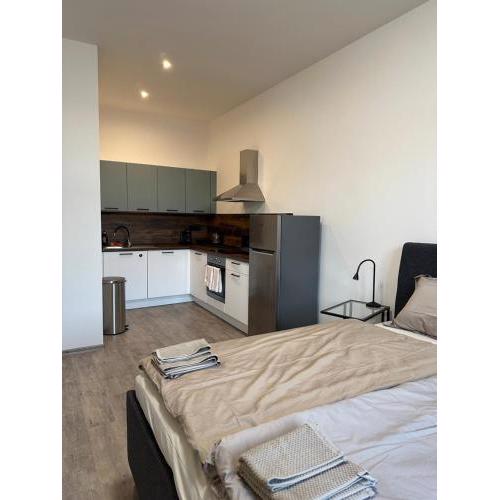 Apartmán Palackého