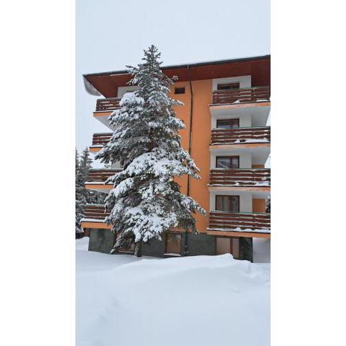 Apartmán Pálenica II