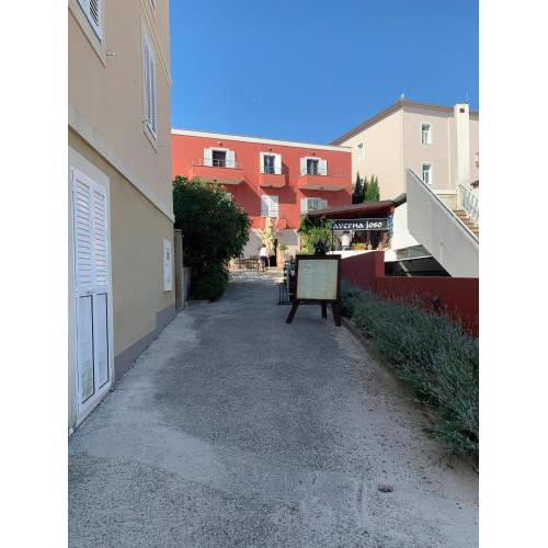Apartman Pavić
