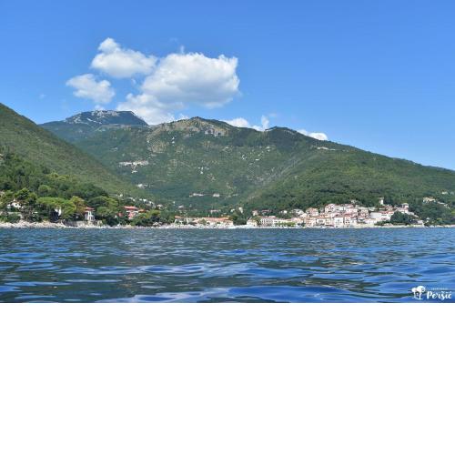 Apartman Peršić