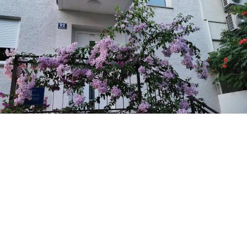 Apartman Perunika