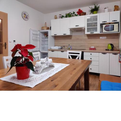 Apartmán pod Božím Darem