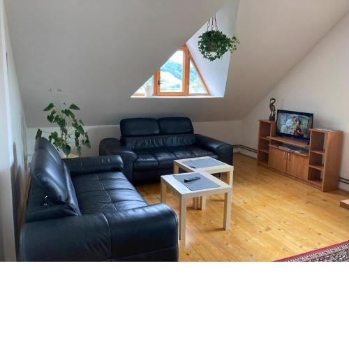Apartmán pod Lázněma