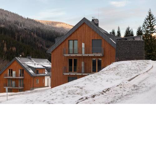 Apartmán Pod Sněžníkem