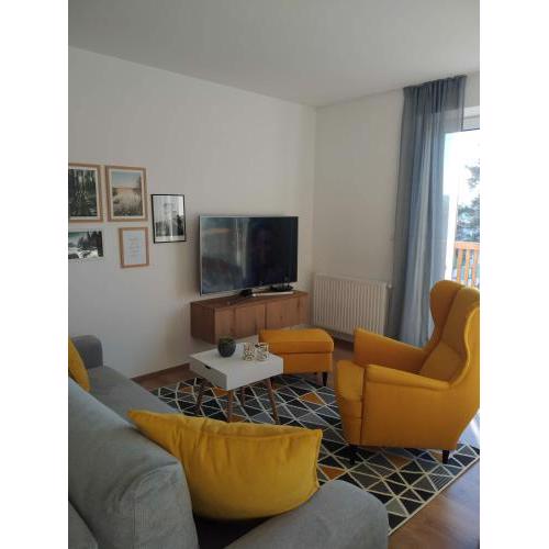 APARTMÁN RIVIÉRA LIPNO 511-16
