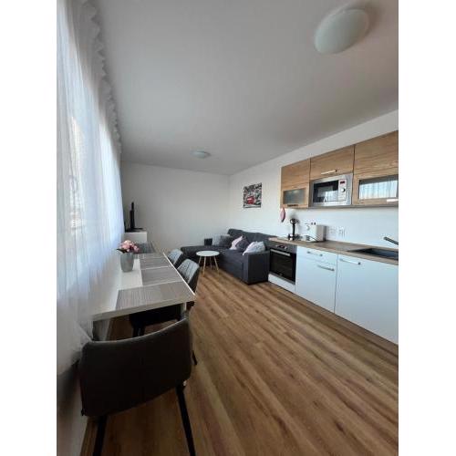 Apartmán Roda2 Malé Lipno