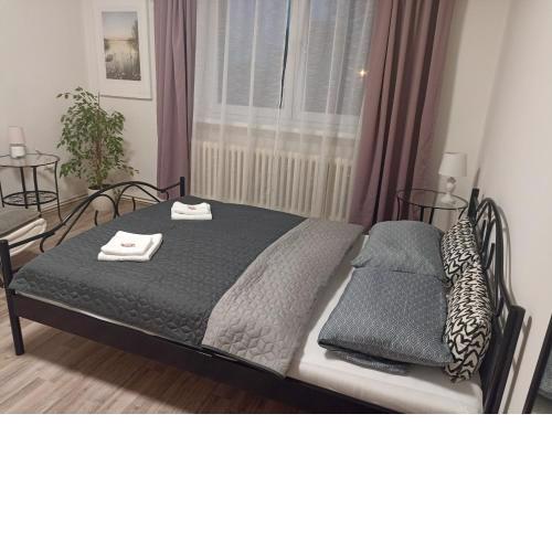 Apartmán Rose