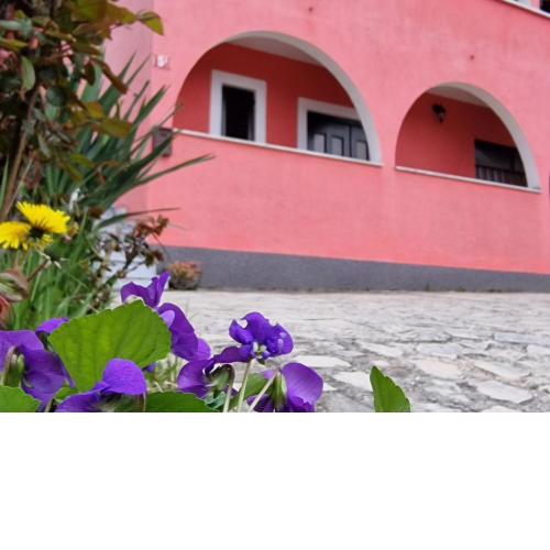 Apartman Sandro