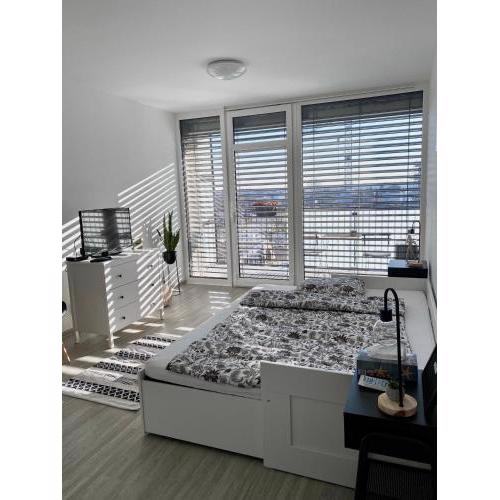 Apartmán Šantovka