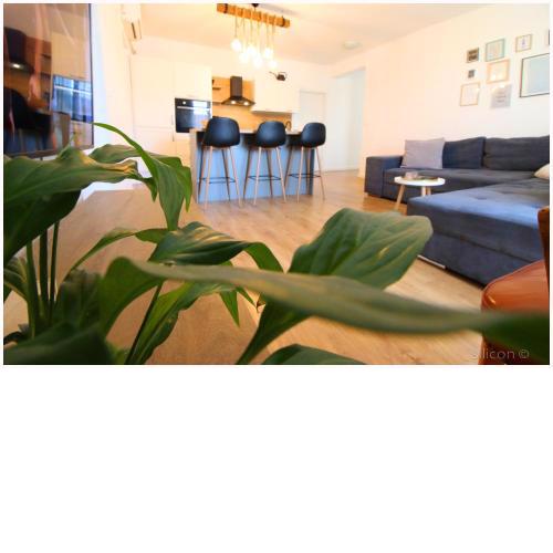 Apartman Silicon