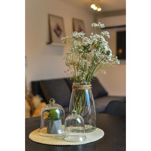 Apartman Sinjska Alka