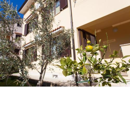 Apartman Sintić