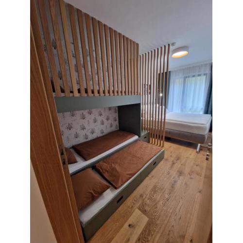 Apartmán Ski & Bike Janské Lázně
