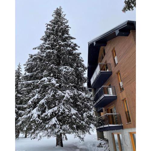 Apartmán Snow