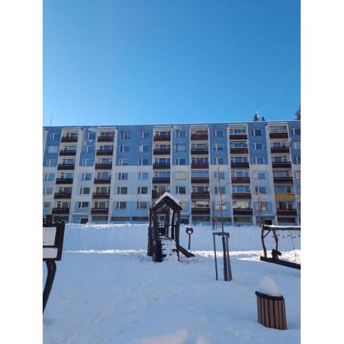 Apartmán Špičák
