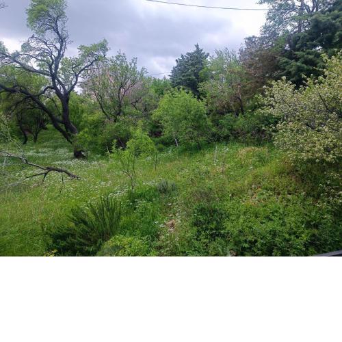 Apartman Stipa