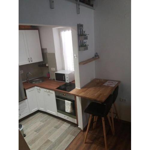 Apartman studio Petar