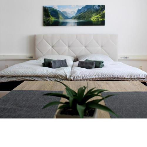 Apartmán Stummerova