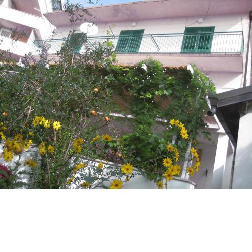 Apartman Sulić