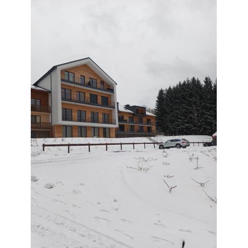 Apartmán Šumavský Buk 14 Brčálník