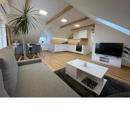 Apartmán Světla