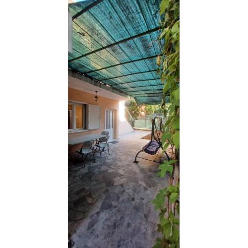 Apartman Tea