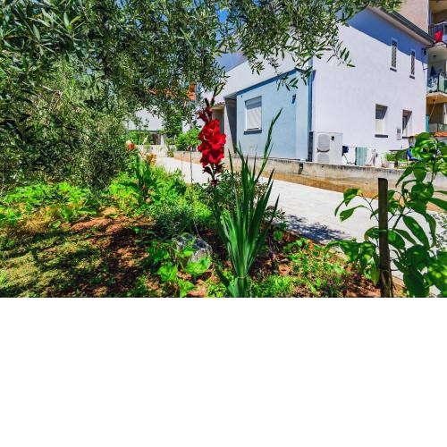 Apartman Tena Jadera